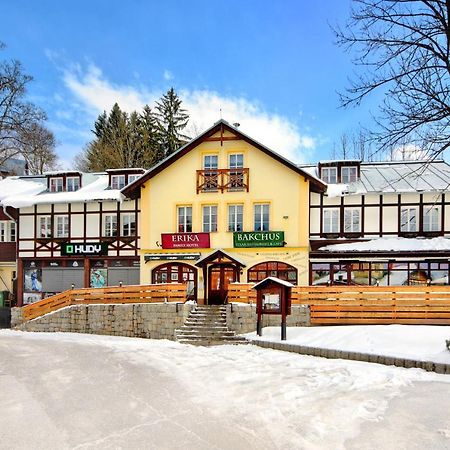 Hotel Erika Spindleruv Mlyn Exterior photo