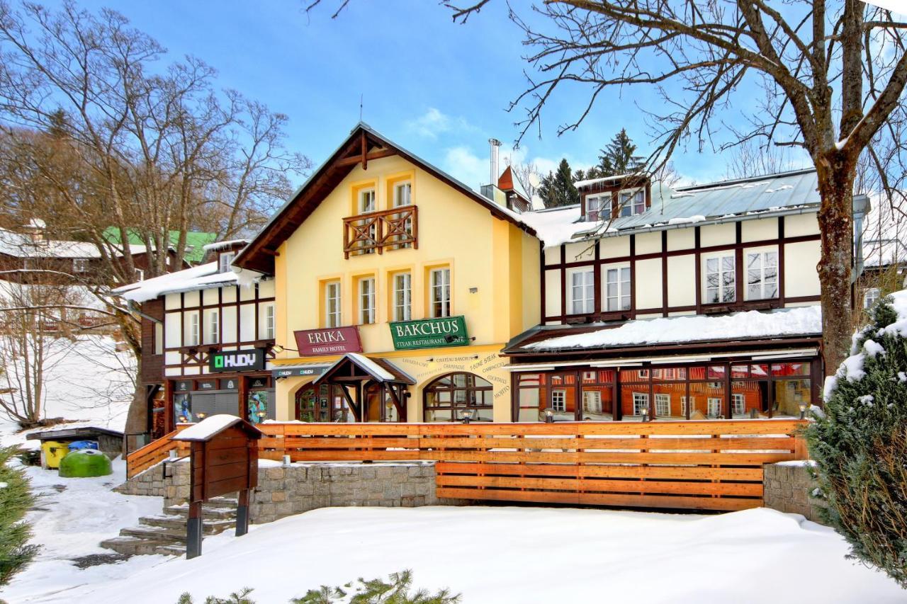 Hotel Erika Spindleruv Mlyn Exterior photo
