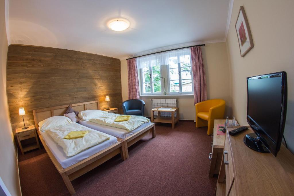 Hotel Erika Spindleruv Mlyn Room photo
